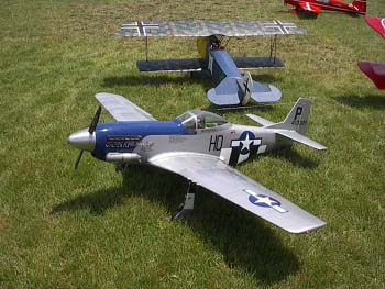 P51